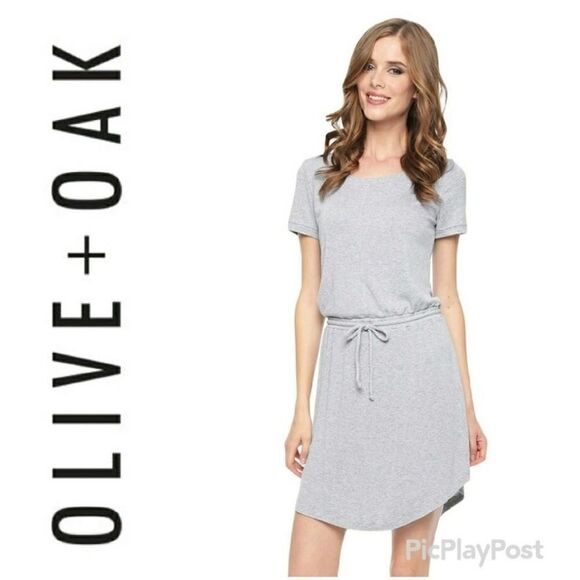 NWT Olive & Oak Casual Gray Drawstring Dress - Picture 1 of 7